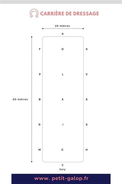 Dressage Basics The 20 By 60 Meter Dressage Arena And 20 Meter Circles