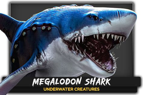 3D Model Megalodon Shark Model GameReady Ocean Predator Low Poly Fish