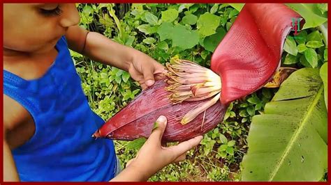 Awesome Cooking Banana Flower Recipe My Village Food Healthy Village Food How To Cook Banana