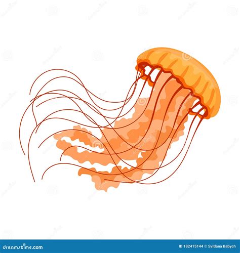 Jellyfish Vector Icon Cartoon Vector Icon Isolated On White Background