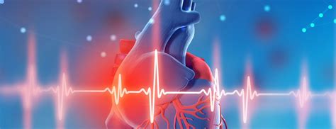 Systolic Heart Failure | Johns Hopkins Medicine