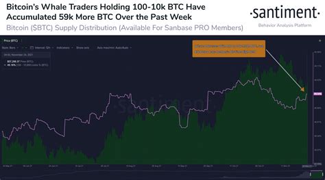 Bitcoin Whales Continue Massive Accumulation As Btc Supply Moves To