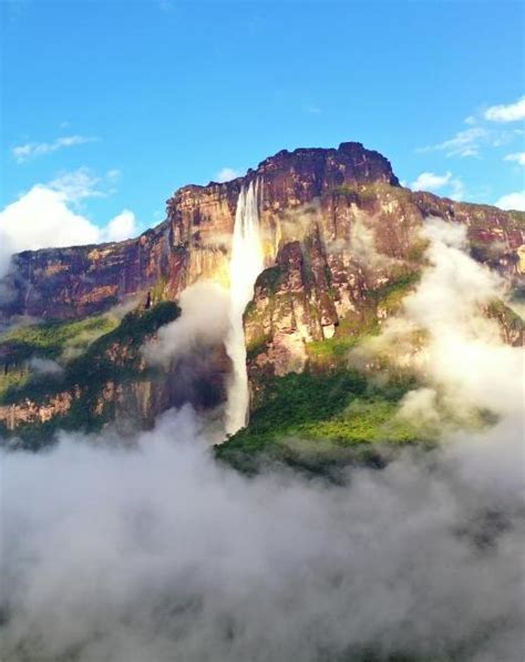 Angel Falls Interesting Facts Angel Eco Tours