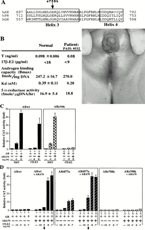 From Estrogen To Androgen Receptor A New Pathway For Sex Hormones In Prostate PNAS