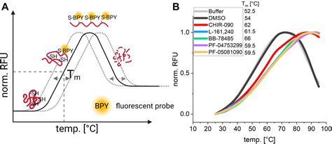 Common And Varied Molecular Responses Of Escherichia Coli To Five