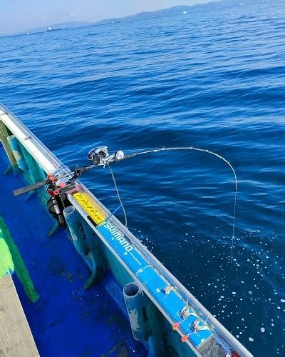 ブログに現れないスタッフsの釣行記 東京湾でアカムツを求めて 浅ブロ沖船（浅草釣具の日常）