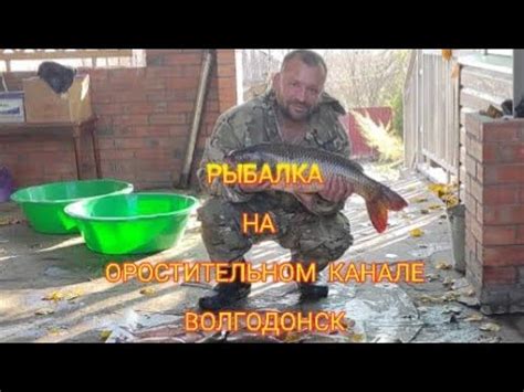 РЫБАЛКА НА ОРОСТИТЕЛЬНОМ КАНАЛЕ! ВОЛГОДОНСК - YouTube