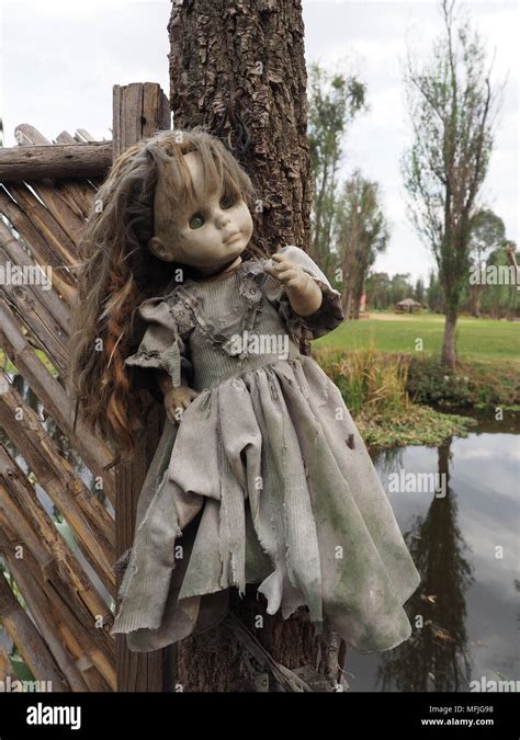 Island of the Dolls in Xochimilco, Mexico Stock Photo - Alamy