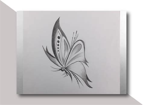 Pencil Drawing Of Butterfly 26 Pencil Butterfly Drawings With Color