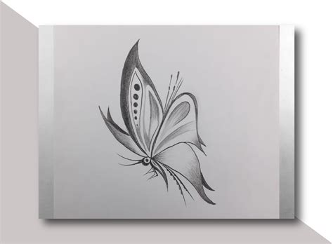 Butterfly Pencil Drawing