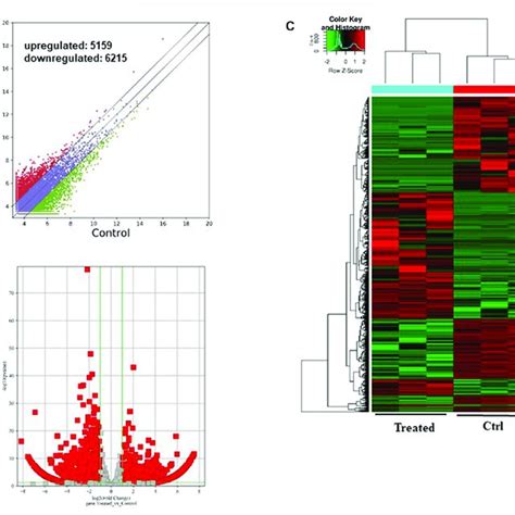 Differentially Expressed Mrnas In The Go Agnps Treated Caprine Fetal