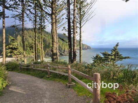 10 BEST Things to do at Heceta Head Lighthouse