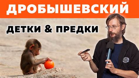 Дробышевский. Детки и предки - YouTube