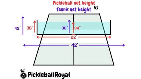 Pickleball terms | Slang and terminology.