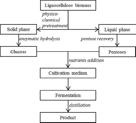 Simplified Diagram Of Production Of Liquid Biofuels From Lignocellulose