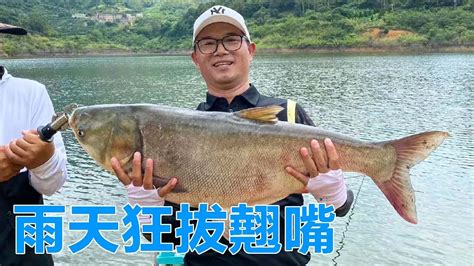 【鄧剛釣魚】冒充新手盤囂張老闆，雨天狂拔翹嘴，水庫老闆的臉色比變天還快！ Youtube