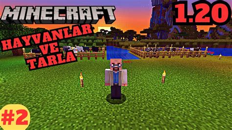 Hayvanlar Ve Tarla Minecraft Survival Youtube