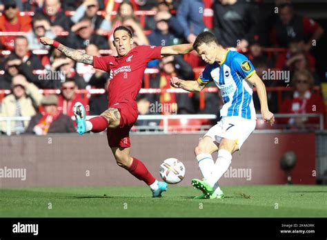 Solly march brighton 2022 hi-res stock photography and images - Alamy