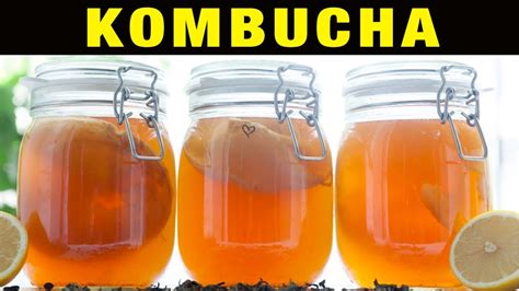 Beneficios De La Kombucha Adelgaza Qu Es Hace Da O Consejos