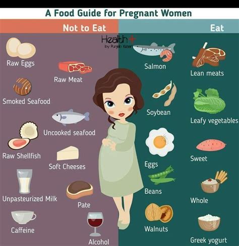 Pregnant Woman Diet Infographic Food Guide Stock Vector Royalty Free 655359862 Shutterstock