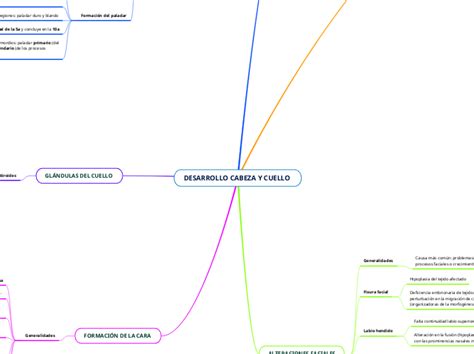 Desarrollo Cabeza Y Cuello Mind Map