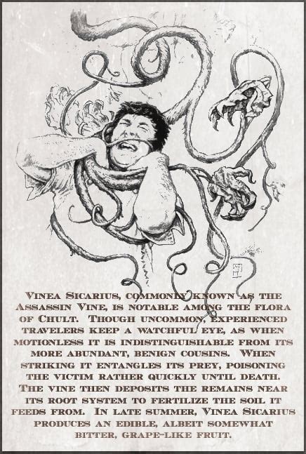 Assassin Vine Vinea Sicarius Rdungeonsanddragons