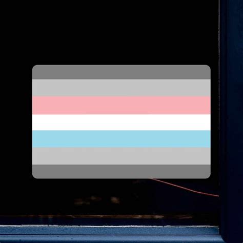 Demiflux Flag Lgbtqia Pride Flag Full Color Static Window Etsy Canada