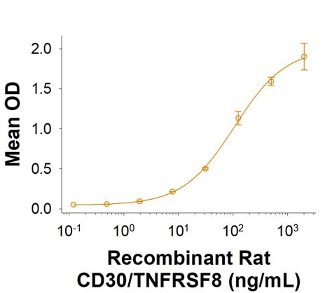 Recombinant Rat CD30 TNFRSF8 Fc Chimera Protein CF 11034 CD Bio Techne