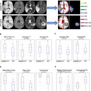 Mri Signatures Of Egfr Missense Mutants Suggest An Invasive And