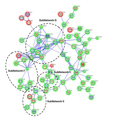 Protein Interactome Map For Differentially Expressed Proteins In