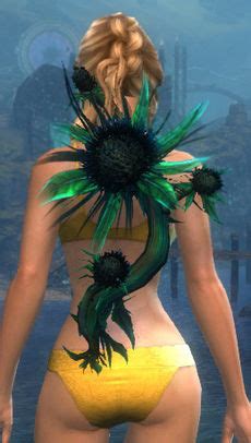 Skin für Traumdistel Schild Guild Wars 2 Wiki