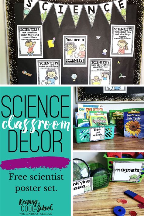 Science Classroom Decor | Science classroom decorations, Elementary ...