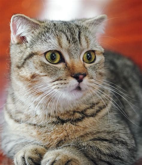 Kat Stickler Nude Imaginative Minds