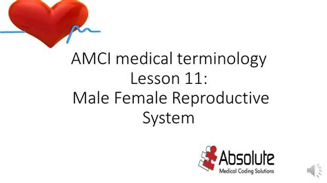 Amci Medical Terminology Lesson 11 Male Female Reproductive System