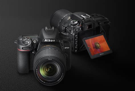 Nikon D7500 vs D5600 – Comparison - GearOpen.com