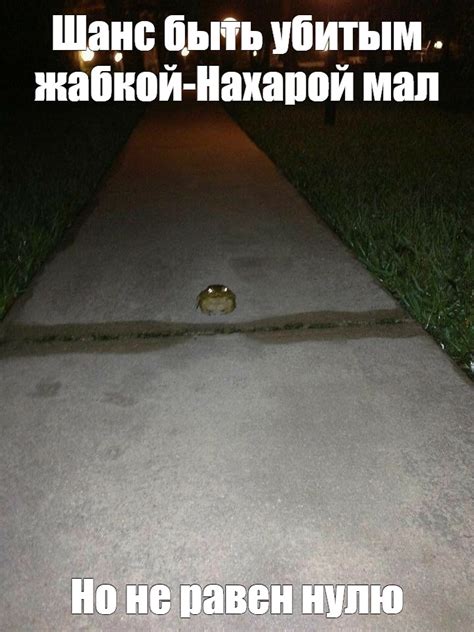 Создать мем "смешная жаба, улей, полусфера смешная" - Картинки - Meme ...