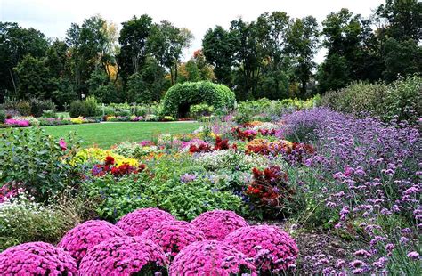 Arboretum Nedir Türkiye Ve Dünyadan Örnekler