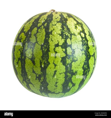 Whole Watermelon Isolated On White Or Cut Out With Clipping Path Stock