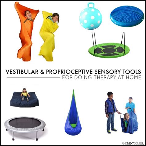 Must Have Vestibular Proprioceptive Sensory Therapy Tools Toys