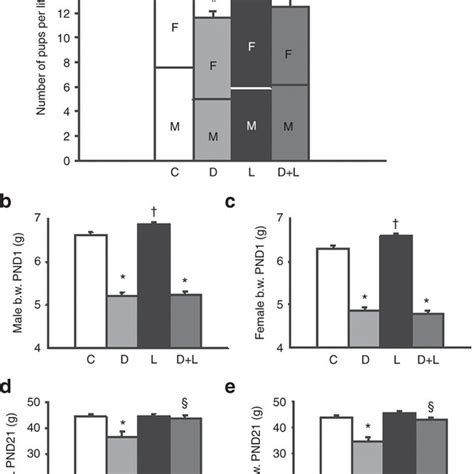 Litter Size Sex Ratio And Perinatal Body Weight Of Pups Born To