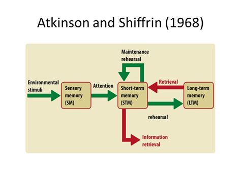 Memory - Multi-Store Model of Memory (Sensory Memory) Diagram | Quizlet