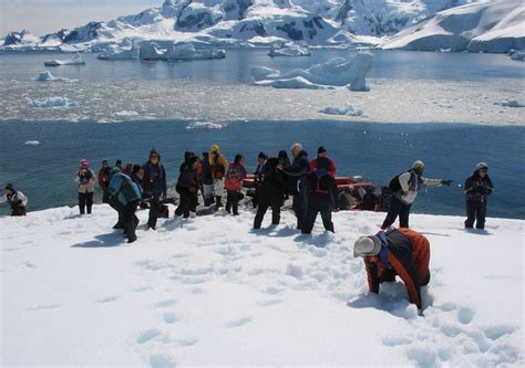 Nuevo récord de turistas en la Antártida genera preocupación por el