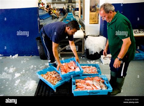 Fish Market Almeria Andalusia Spain Stock Photo Alamy