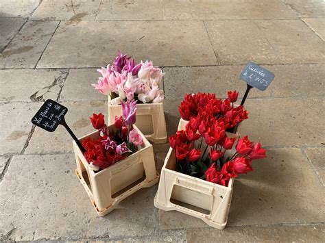 Wecandoo Cueillez Vos Fleurs Au Jardin Et Composez Votre Bouquet