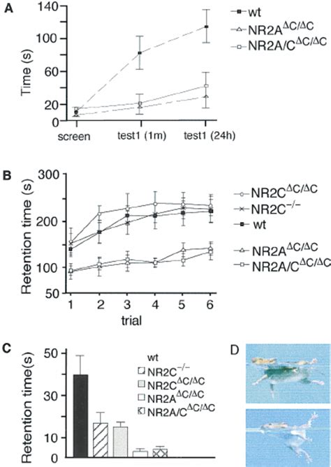 Contextual Fear Conditioning And Motor Coordination In Mutant Mice A