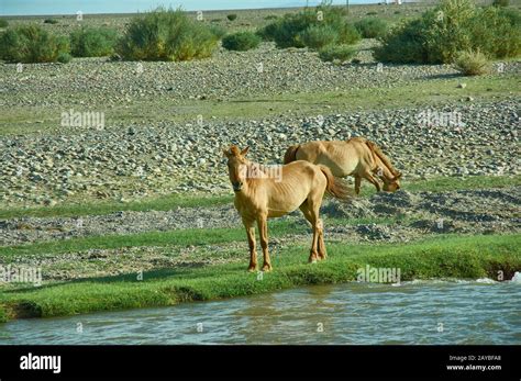 Khovd Province In Western Mongolia Stock Photo Alamy