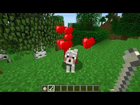 Comment Apprivoiser Un Loup Pour Que Ce Soit Un Chien Dans Minecraft