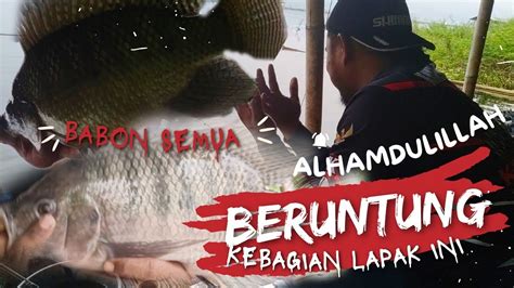 Gede Gede Ikan Nya Alhamdulillah Waduk Jatiluhur