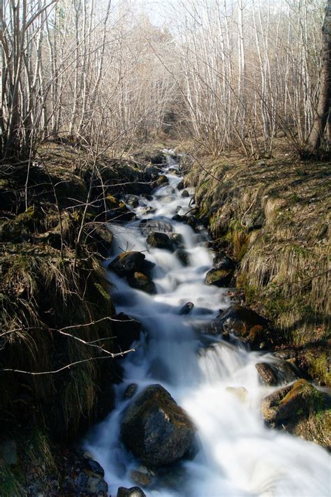 Free fotobanka krajina strom voda Příroda les Skála vodopád