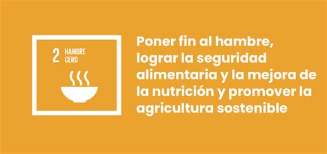 Cu Les Son Los Alimentos Que M S Contribuyen Al Cambio Clim Tico